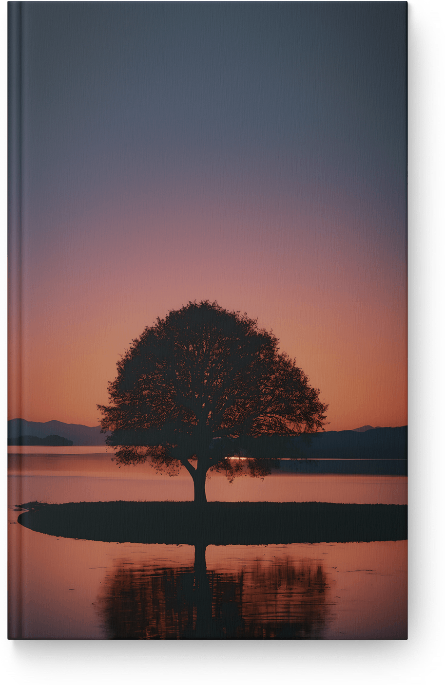 Solitary Tree Reflection