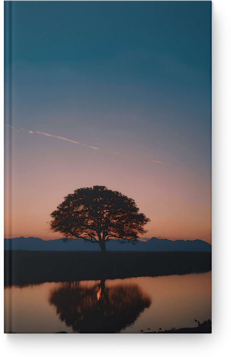 Solitary Tree Reflection
