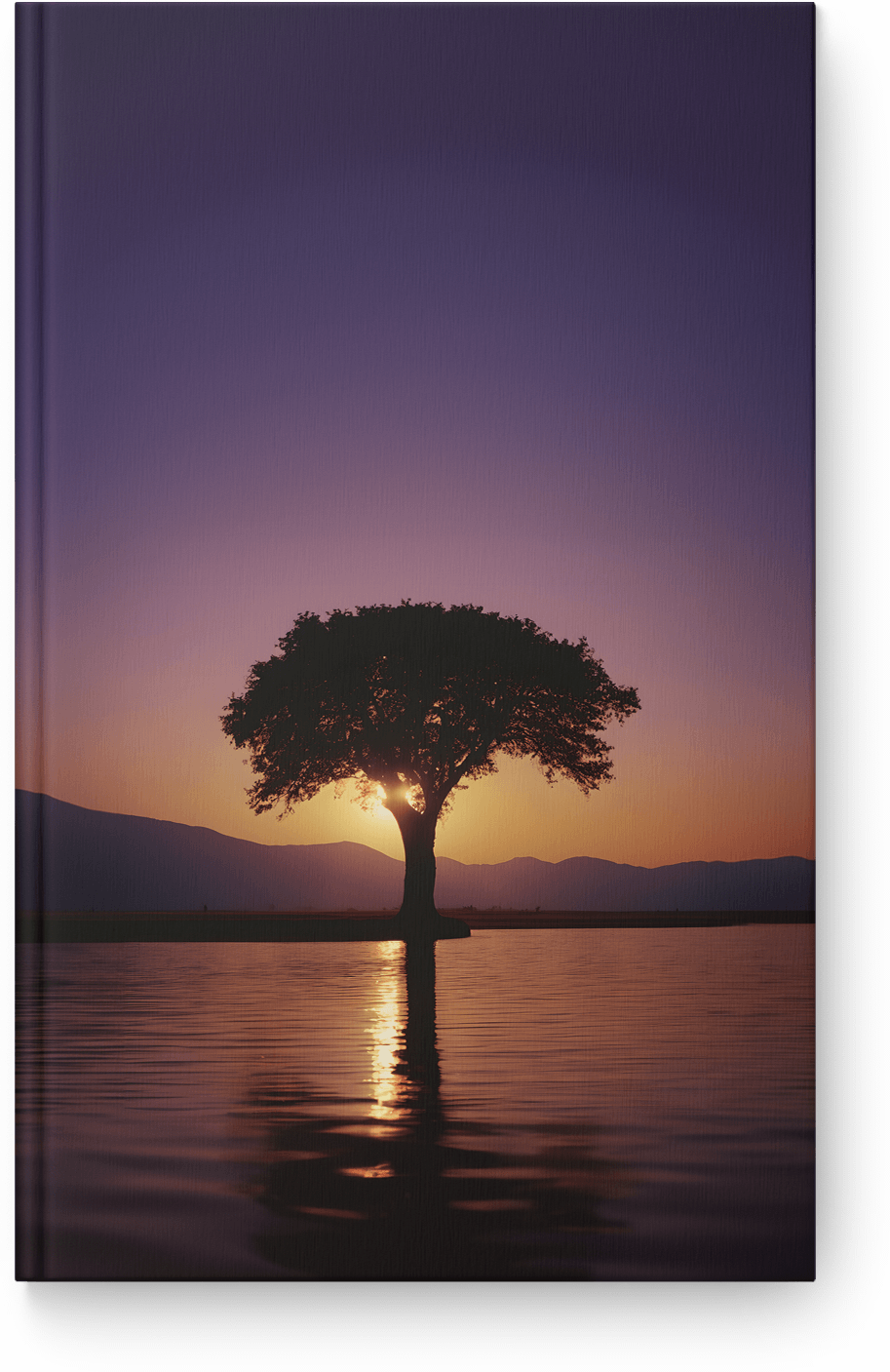 Solitary Sunset Reflection