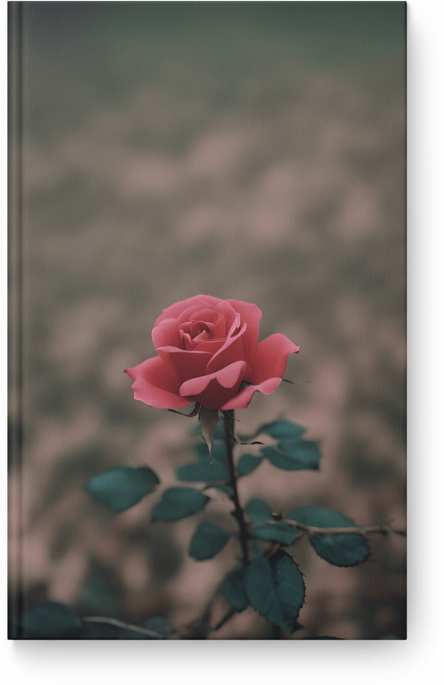 Delicate Blush Bloom