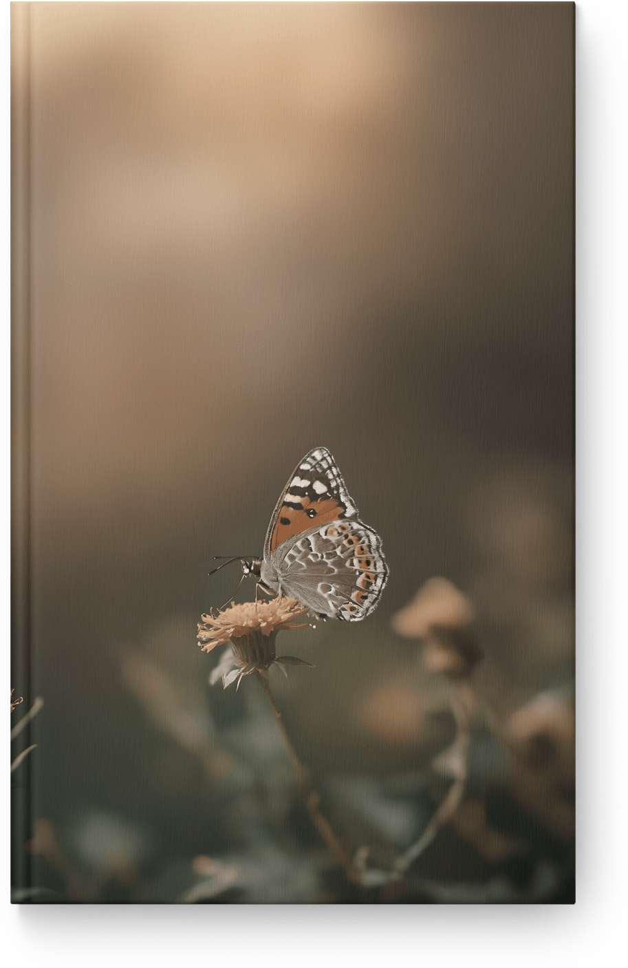 Delicate Butterfly Bloom
