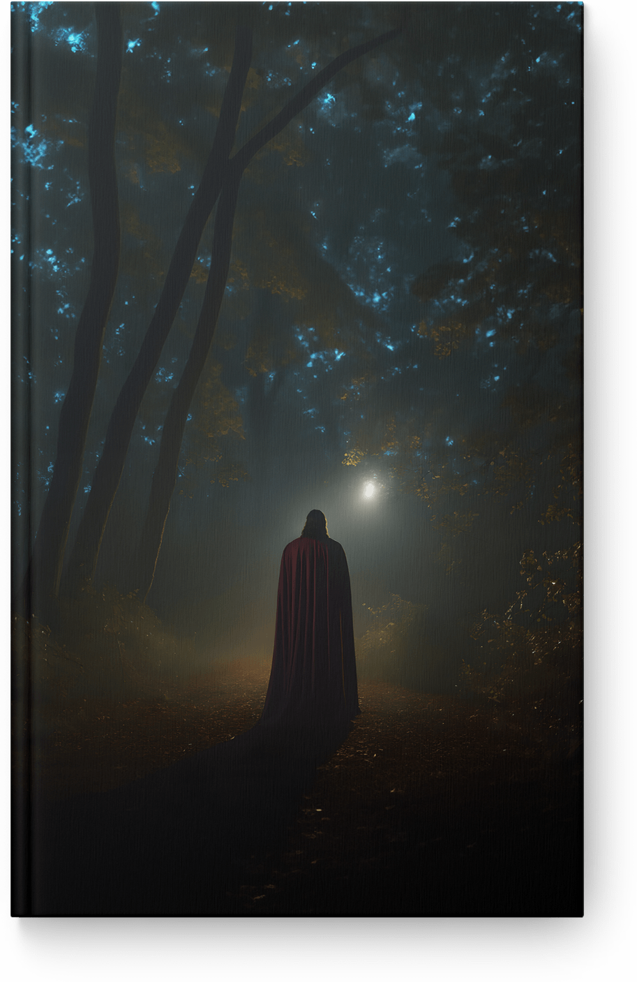 Enigmatic Cloaked Journey