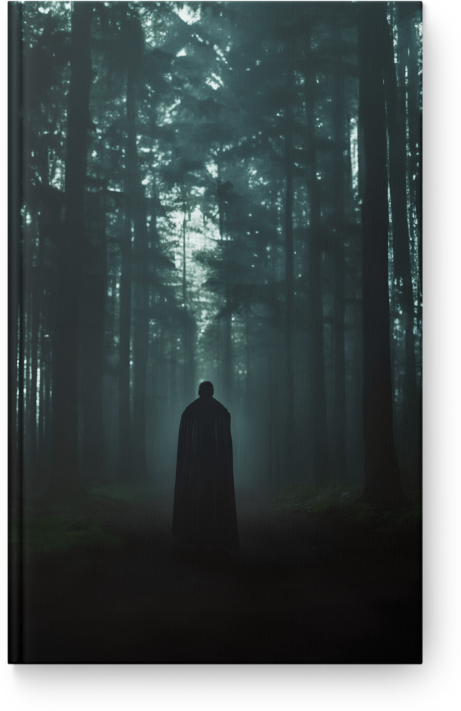 Silent Shadowed Pathway