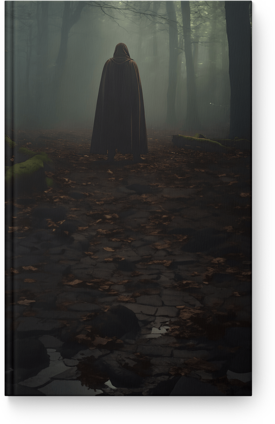 Shadowed Cloak Wanderer