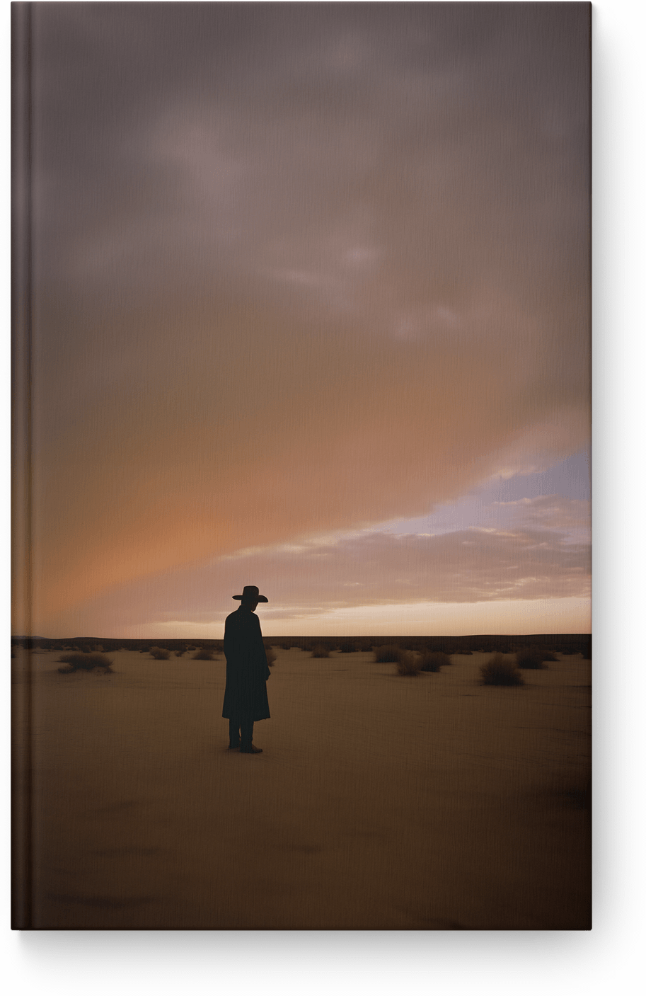 Desolate Sunset Silhouette