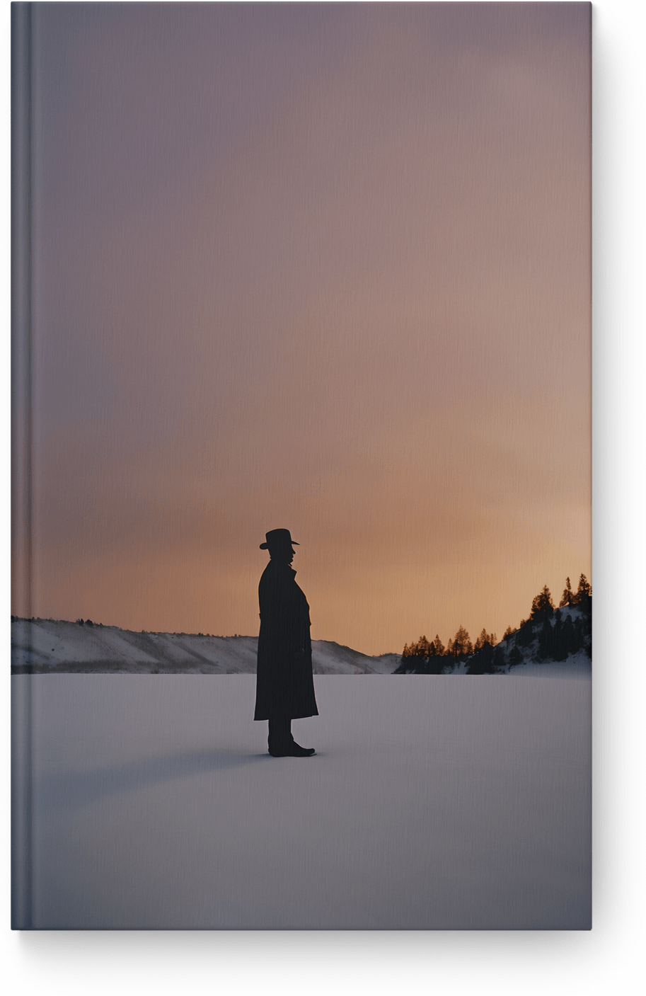 Silent Winter Watchman