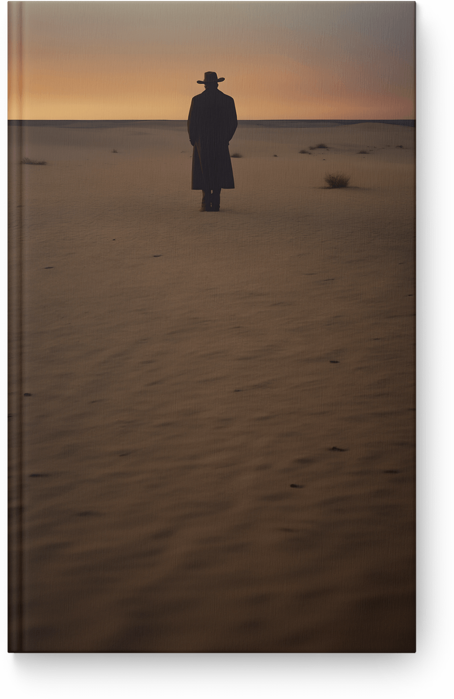 Desolate Sunset Wanderer