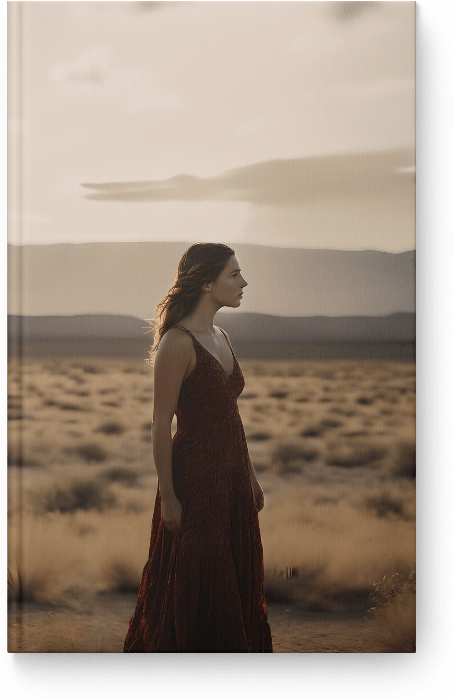 Desert Sunset Contemplation
