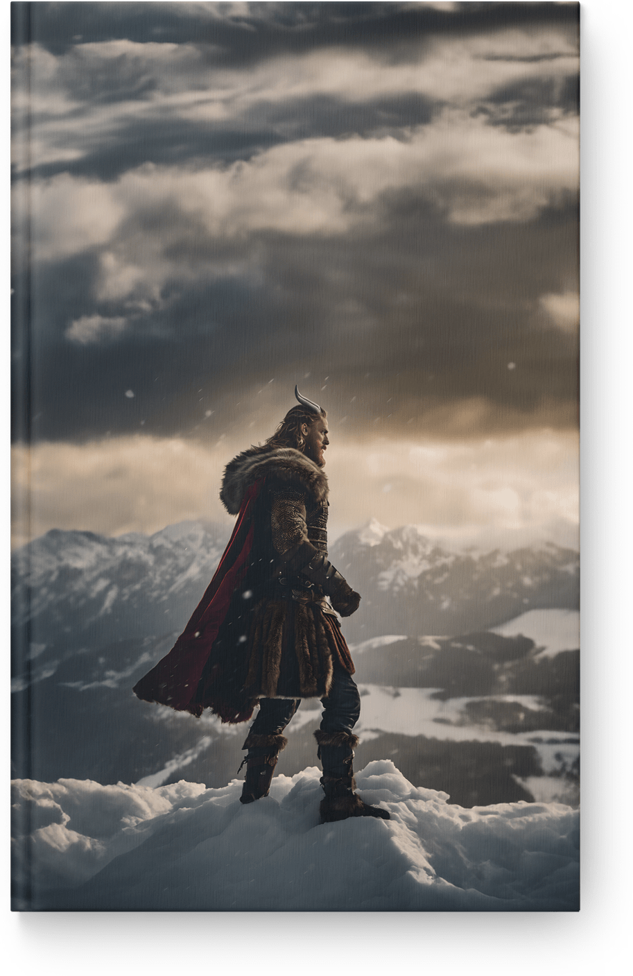 Viking Winter Sentinel